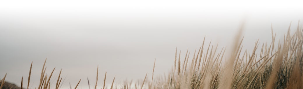 Grass Footer V2